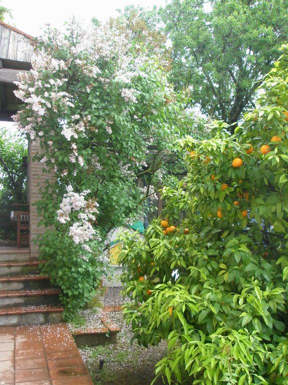 L'Oasi Di Aaron Hotel Формело Екстериор снимка
